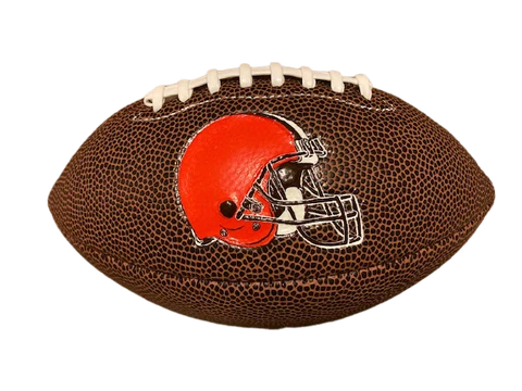 Rawlings Cleveland Browns Air It Out 9" Mini Football Free Shipping Cover