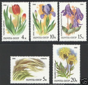 RUSSIA USSR 1986 FLORAL FLOWERS 5 MNH STAMPS TULIP - Picture 1 of 1