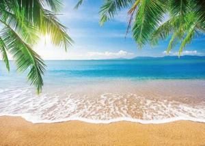 Verano Tropical Playa Palma Telón de Fondo Cielo Azul Océano Playa Temático Fiesta Fondo - Imagen 1 de 19