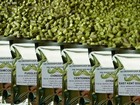 225g Hops - Citra Cascade Fuggles Saaz Simcoe Amarillo Rakau Nectaron Home Brew