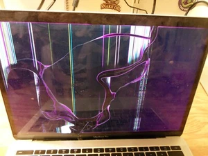 Mid 2017 13" Retina 4 Parts Extensive Damage See Pics Turned On Lit Screen A1708 - Afbeelding 1 van 12