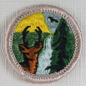 Conservation of Natural Resources Merit Badge Type G Silver cloth back 1969-1971 - Picture 1 of 1