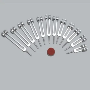 Song Of The Spine Tuning Forks 12 pc Set Bone Toning Weighted Tuners+Activator - Picture 1 of 1