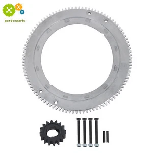 Kit de engranajes de anillo de volante para Briggs & Stratton 392134 399676 696537 170400-0640-99 - Imagen 1 de 17