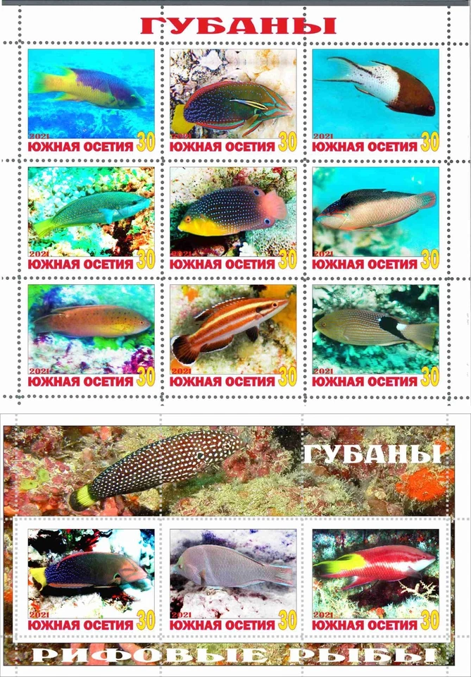 Stamp sheet+block Gubans Coral fishes 2021 South Ossetia issue - Image 1 of 1