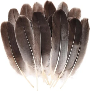 150pcs 5-7 Inches Natural Goose Feathers Bulk DIY Crafts Feathers for Wedding... - Picture 1 of 8