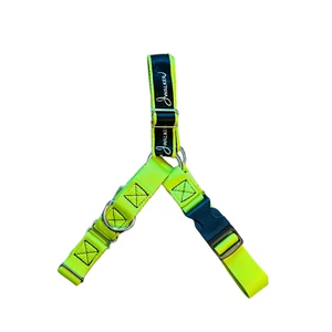 JWalker Side Attachment No-Pull Dog Harness, Lime Punch - Picture 1 of 11
