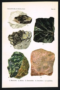 1911 Antique Mineral Print – Mica & Chlorite Group: Muscovite, Lepidolite, etc. - Bild 1 von 7