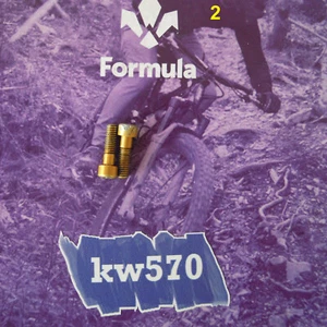 Formula - 2 Tornillos Originales ergal Oro / Tirilla/Tirilla R1/T1 FD-V121-05 - Imagen 1 de 2