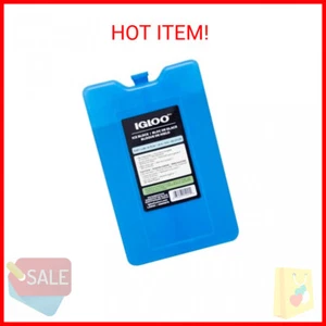 Igloo Maxcold Ice Blocks - Picture 1 of 2
