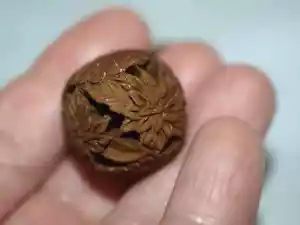 Cuentas de madera chinas talladas vintage diseño flor crisantemo talla 22 mm - Imagen 1 de 5
