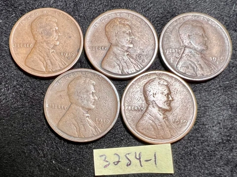 (5) COIN LOT 1919 S Lincoln Wheat 1c Cents Penny From Roll Family Estate 3254-1 Cover