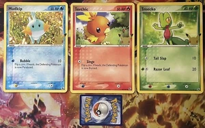 Mudkip 59/109 Torchic 74/109 Treecko 76/109 Promo JUMBO Pokemon Card - Picture 1 of 2