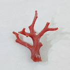 100%Natural Red Coral Polished Loose Rough Branch Italian Red Coral Rough Branch