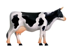 Puzzle toys COW anatomy science and education Assembled model teaching model - Picture 1 of 7