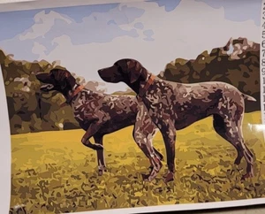 NEW Pink Picasso Paint By Number Kit REMI & REESE Pointer Dog  16"x20" Art Craft - Picture 1 of 6