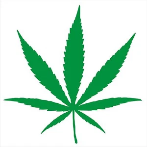 1 x Cannabis Leaf 8" Vinyl Stickers Decals - Weed Ganja Skunk - Picture 1 of 1