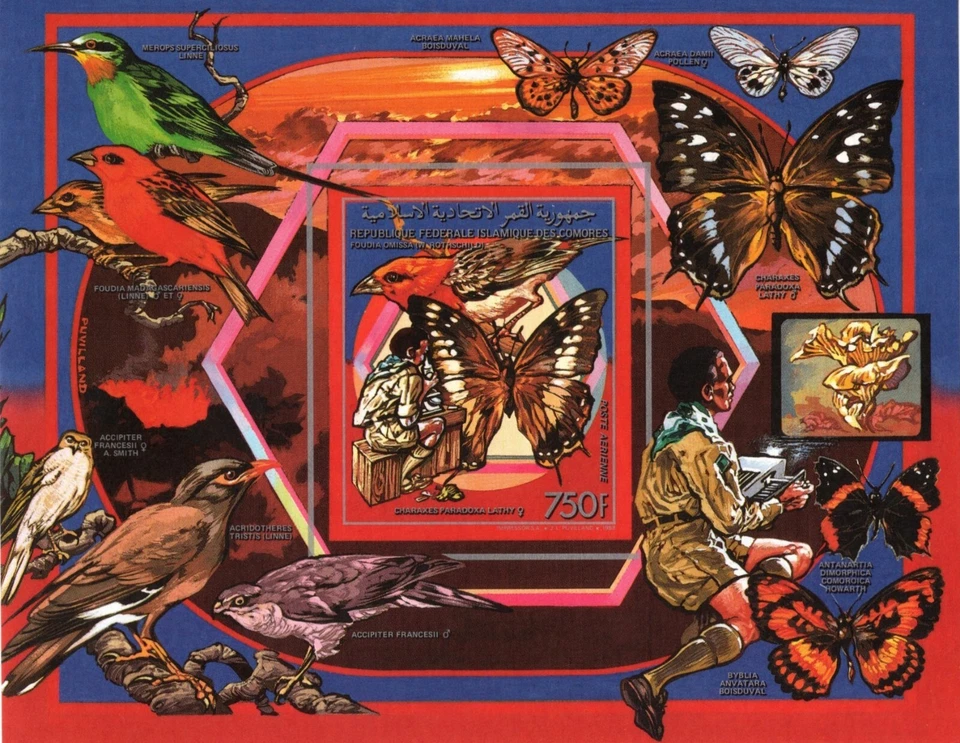 COMOROS 1989 BUTTERFLIES, SCOUTING, BIRDS NATURE SOUVENIR SHEET IMPERF MNH - Image 1 of 3