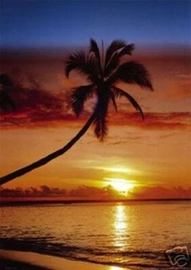 NEU SONNENUNTERGANG PALME TROPISCHER STRAND POSTER SELTEN 24X36 - Bild 1 von 1