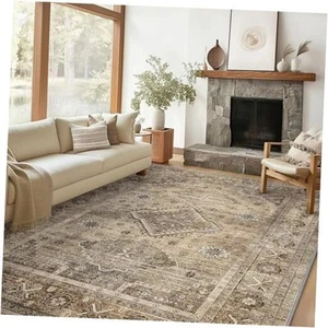 Area Rugs 3x5 for Living Room Bedroom, Machine Washable Area Rug for Living - Picture 1 of 8