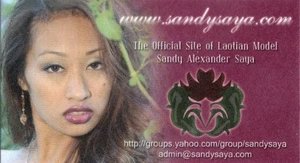 SANDY SAYA fan club, sito web attrice adulta, carta commerciale promo - Foto 1 di 1