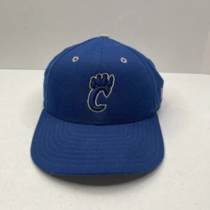 Northern Colorado NoCo Owlz blaue Mütze Kappe New Era SnapBack Baseball MiLB Vintage - Bild 1 von 5