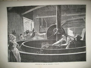 NORMANDIE CIDRE FABRICATION CHINE CHARRETTE A BOEUFS VANNEURS SAVETIERS 1874 - Bild 1 von 2