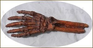 Mummified arm of Voodoo Priestess Mama Shampti  (sideshow, gaff, prop) 👀 👀