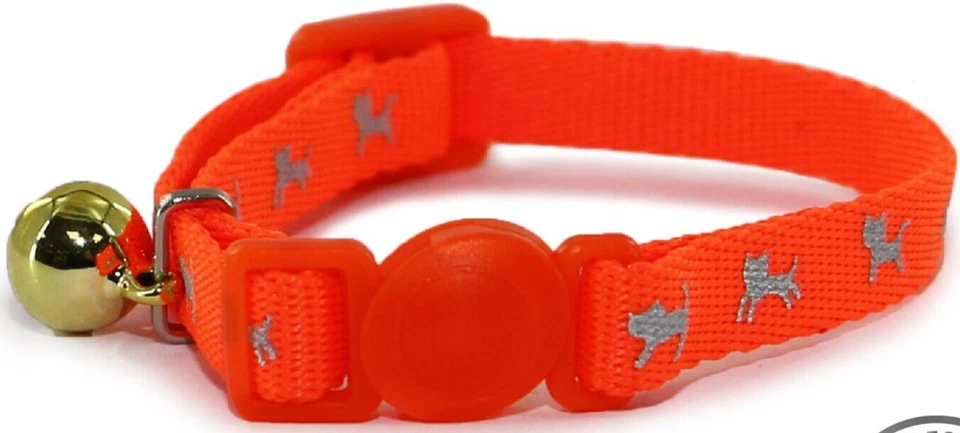 Ancol Collar Kitten HiViz Orange 1x SGL - 672970