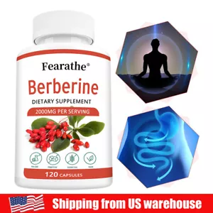 Berberine Capsules - Blood Sugar, Cholesterol, Heart Health, Anti-Inflammatory - Picture 1 of 12