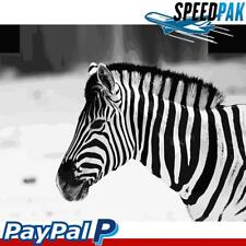 Hand Painted DIY Oil Art Picture Zebra Head Canvas Painting By Number Kit Decor