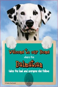 DALMATIAN dog lead holder sign DALMATIANS Welcome to our Home sign dog signs - Picture 1 of 1