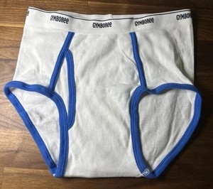 Vtg Boys Large 10-12 Underwear NOS Ringer White Blue Gymboree - Picture 1 of 4