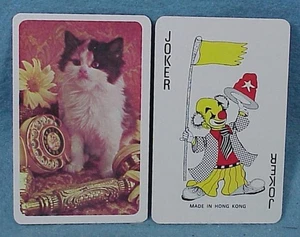 Karten - Katze - NUR Joker / bräunlich - bx2 - Bild 1 von 1