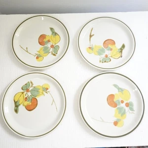 VTG Sakura Orchard Stoneware Salad Plates Set of 4 Floral Japan 10.5" MCM Fruit - Picture 1 of 7