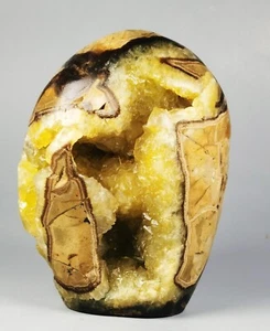 GEODE calcite lucida DRAGON SEPTARIAN Standup Madagascar - Foto 1 di 12