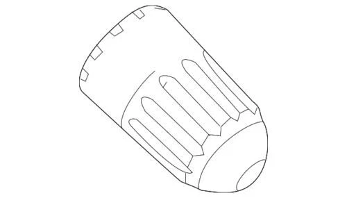 NEW OEM Ford 2015-23 Fits Many Models Black Plastic Valve Stem Cap F2GZ-1A163-A - Image 1 of 2