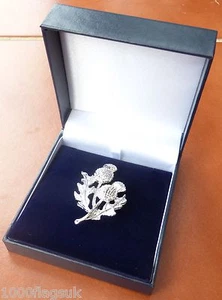 Feine schottische Schottland Doppeldistel Brosche Abzeichen im Etui ** 4 Bilder **  - Bild 1 von 4