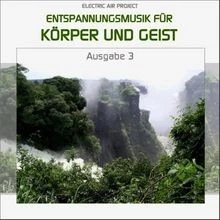 Entspannungsmusik für Körper und Geist 3 (für Meditat... | CD | Zustand sehr gut - Bild 1 von 2