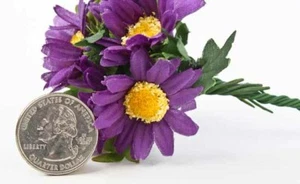 Short Royal Purple African Daisy Bouquets- 2 Packs of 6 Bouquets- 12 T - Picture 1 of 3