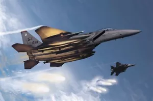 Academy 12550 - 1/72 USAF F-15E 333Rd Fighter Squadron - Nuevo - Imagen 1 de 1