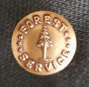 Vintage US FOREST SERVICE Dept of Interior pulsante OTTONE ~ Waterbury Conn - Foto 1 di 2