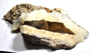LARGE NATURAL SPECIMEN of WHITE ARAGONITE FELL END DURHAM 1.175 kg 20 x 10 cms - Picture 1 of 4