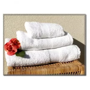 SET TRIS SPUGNA ASCIUGAMANI BAGNO TELO DOCCIA VISO OSPITE PER HOTEL B&B BIANCHI - Foto 1 di 1