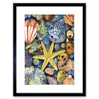 The Rock Pool Seaside Clams Starfish Bathroom Framed Wall Art Print Picture 9X7