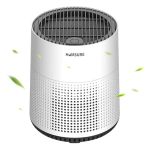 Air Purifier, 300 Sq. ft for Bedroom, H13 True HEPA Filter, Remove Smoke Dust - Picture 1 of 10
