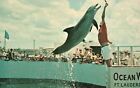 Postkarte Spektakulärer Sprung erstaunlicher Schweinswal Wal Ozean Welt Ft Lauderdale FL
