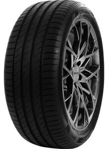 225/55 R18 102W Pneumatici Estivo DELINTE DS2SUVXL Offroad