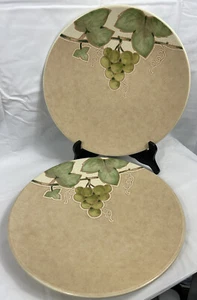 2 Mikasa High Fired Iron Stone Chablis CW409 Dinner Plates 11” - Picture 1 of 6