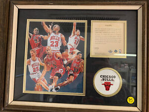 Vintage  Chicago Bulls Plaque - 17" x 14" - Limited Edition 5802/15000 🔥 RARE